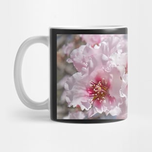 Pink Blossoms Mug